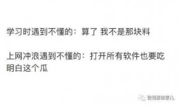 踩雷吃瓜知乎小说全文免费阅读,揭秘知乎小说背后的秘密