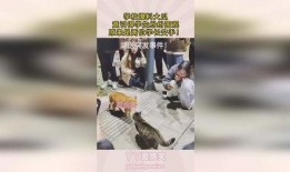 学长真实爆料大瓜视频在线观看,大瓜视频在线观看，真实爆料一网打尽！