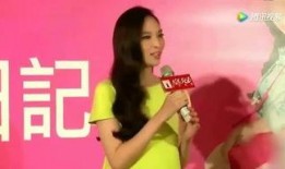 小炳爆料吴佩慈视频,真相背后引人深思