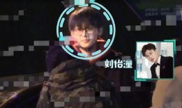 刘奕君娱乐爆料,娱乐圈幕后真相大揭秘