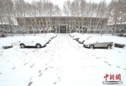 西安爆料大雪事件视频播放,视频播放引发热议