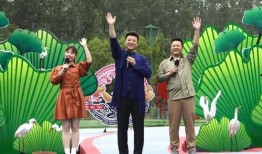 喜茶最新爆料广告视频,潮流饮品背后的故事