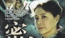 谜战电视剧在线观看,揭秘悬疑背后的真相