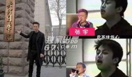 爆料小大人视频网站,揭秘视频网站背后的秘密与影响